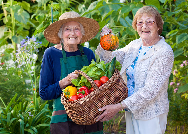 Assisted Living Apartments in Georgia