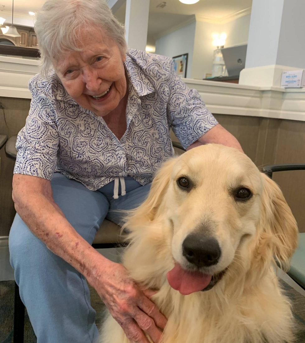 Therapy Dogs for Seniors